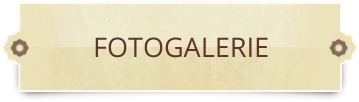 fotogalerie